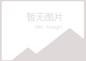 吉林龙潭夏日咨询有限公司